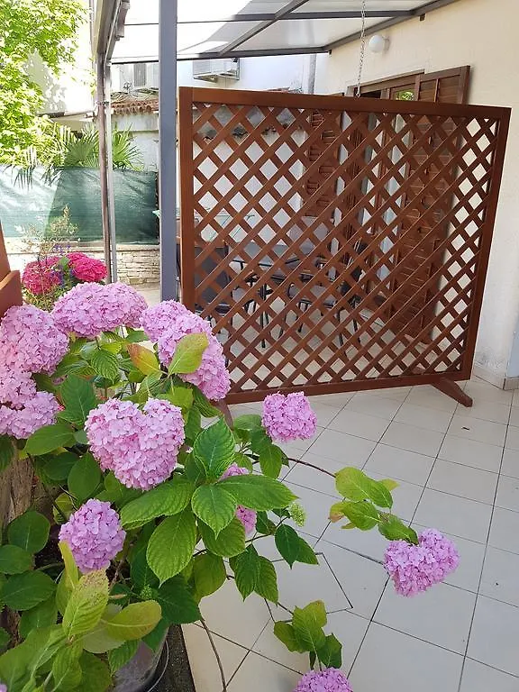 Apartments R روفينج